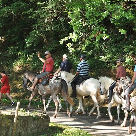 Les Chalets Du Moulin Du Chatain 4 Payzac  Luaran gambar