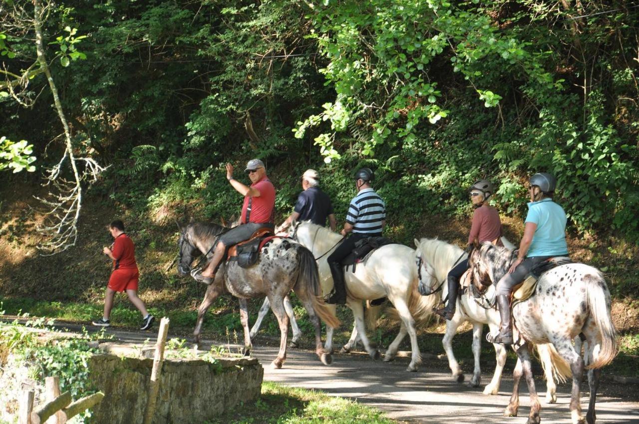 Les Chalets Du Moulin Du Chatain 4 Payzac  Luaran gambar